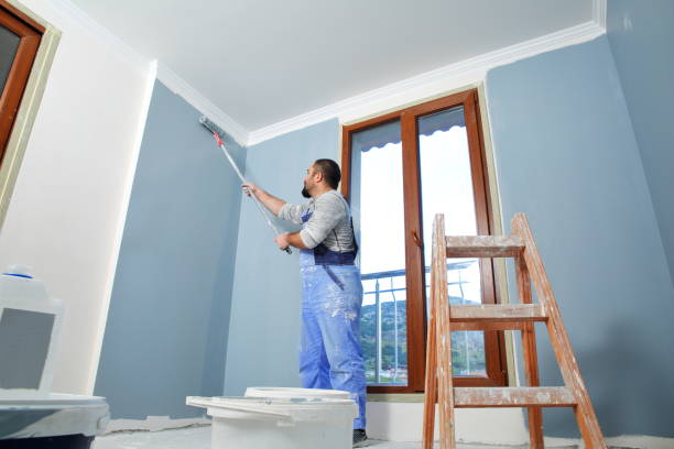 Best Repainting for Renovations  in Bonsall, CA